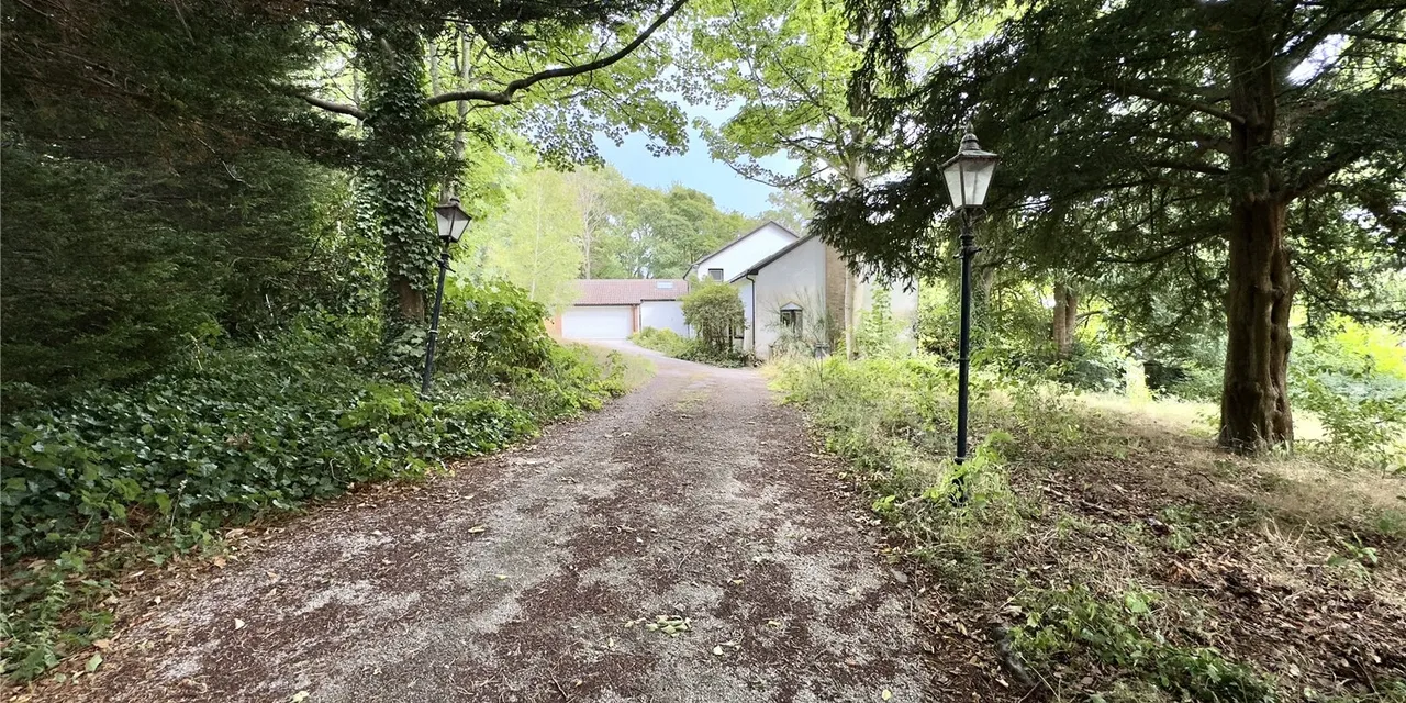 Caldy Wood, Wirral, CH48, photo 26