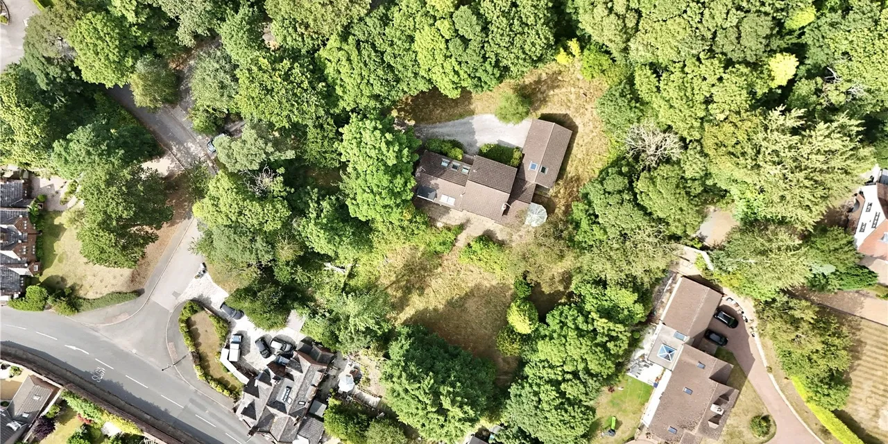 Caldy Wood, Wirral, CH48, photo 9