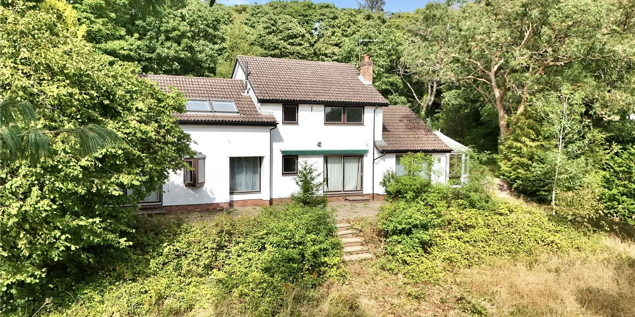 Caldy Wood, Wirral, CH48, photo 27