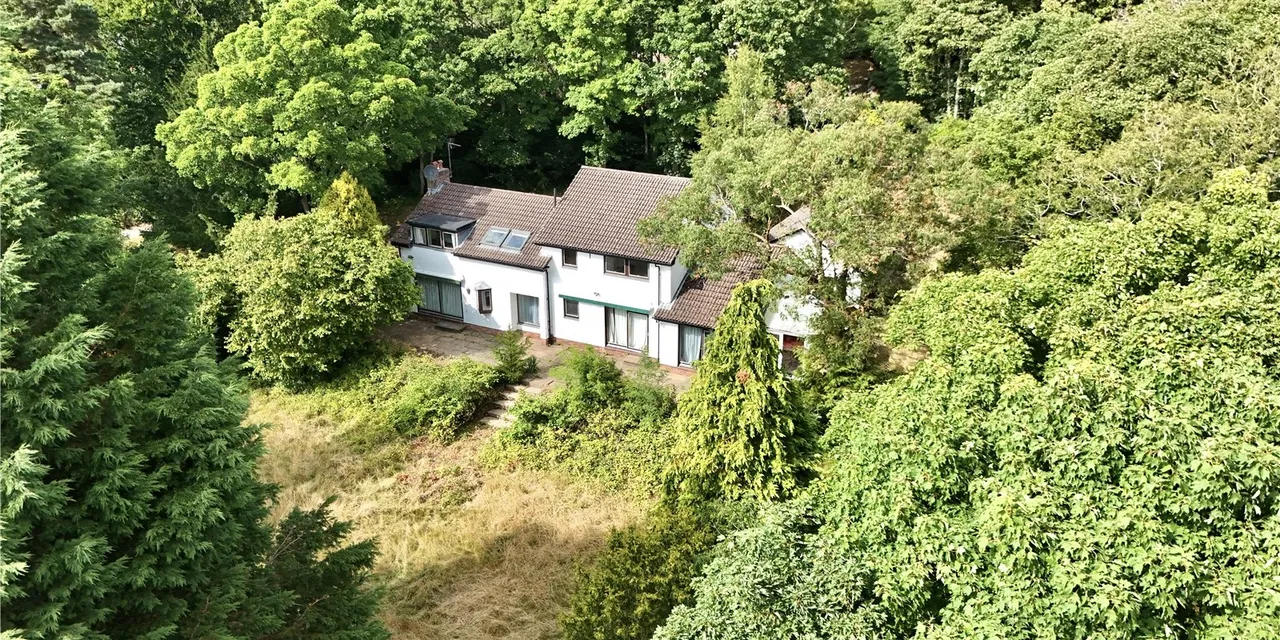 Caldy Wood, Wirral, CH48, photo 2