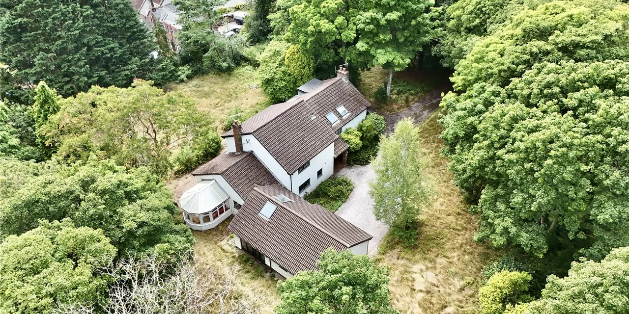 Caldy Wood, Wirral, CH48, photo 16