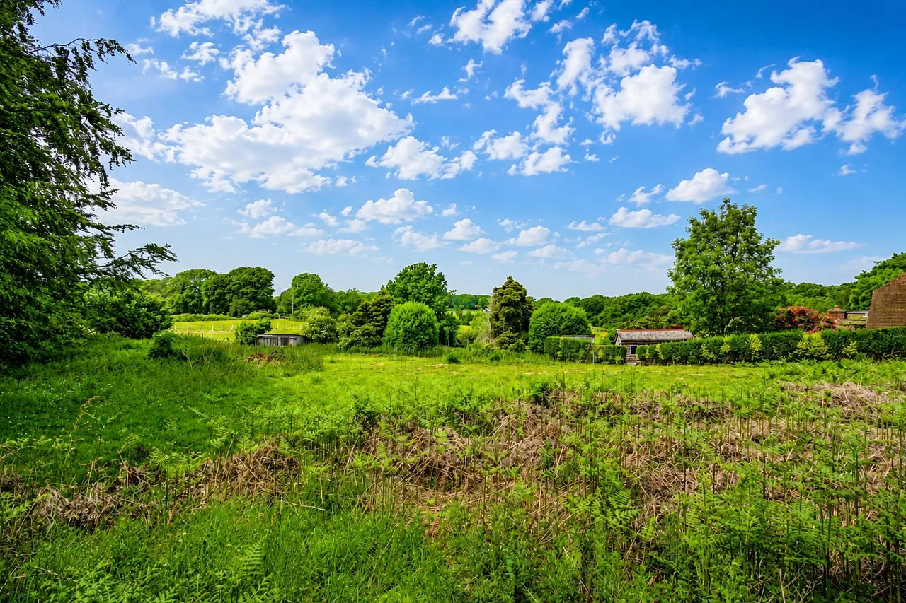 Pett Road, Pett, photo 22