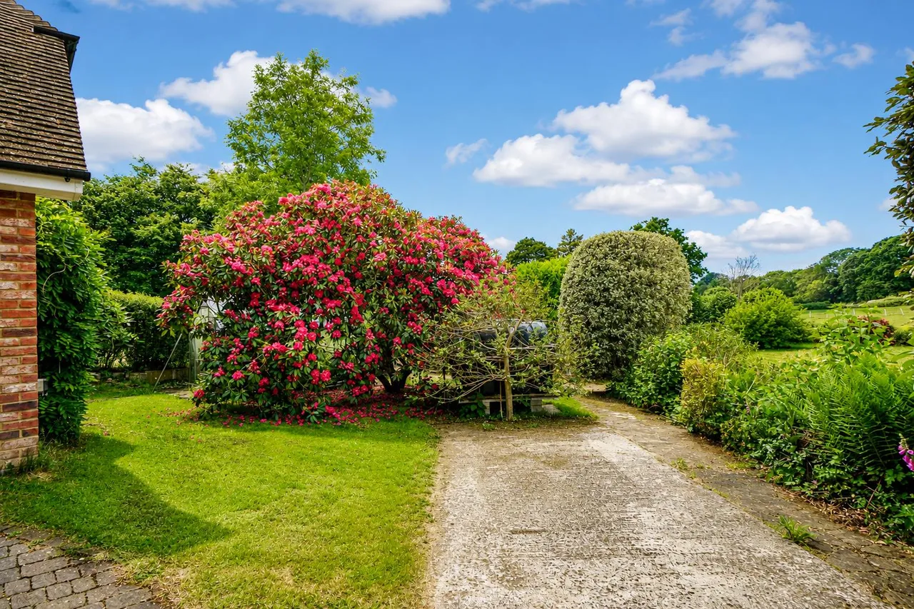 Pett Road, Pett, photo 23