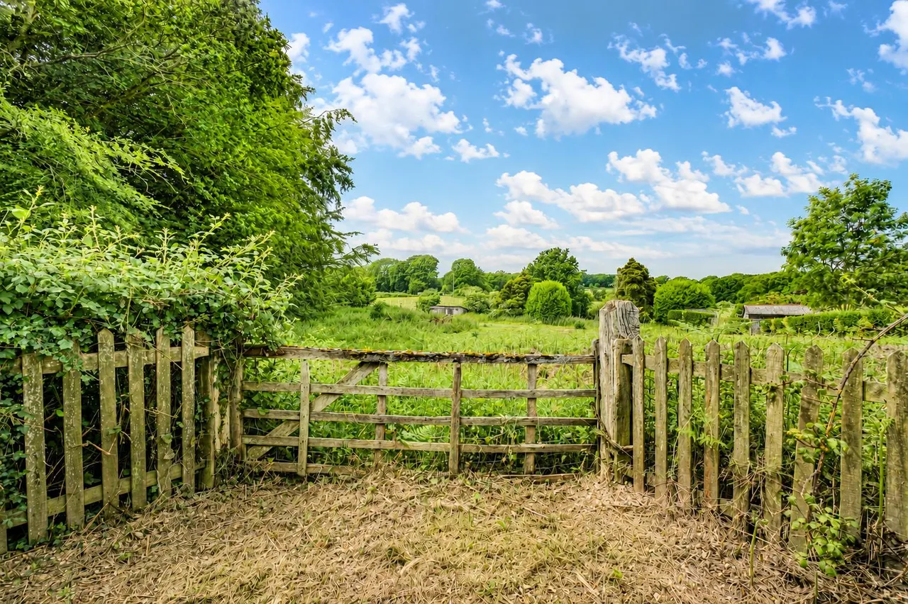 Pett Road, Pett, photo 30