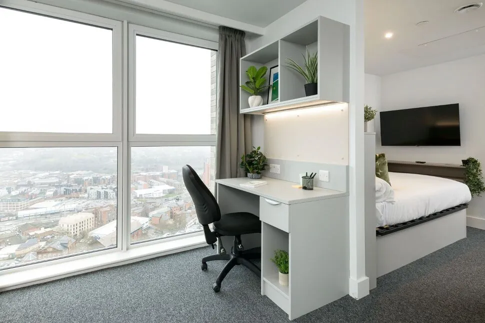 Tenter Street, Sheffield, S1, photo 5