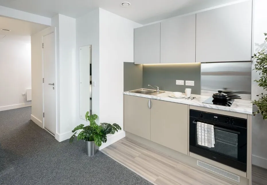 Tenter Street, Sheffield, S1, photo 10