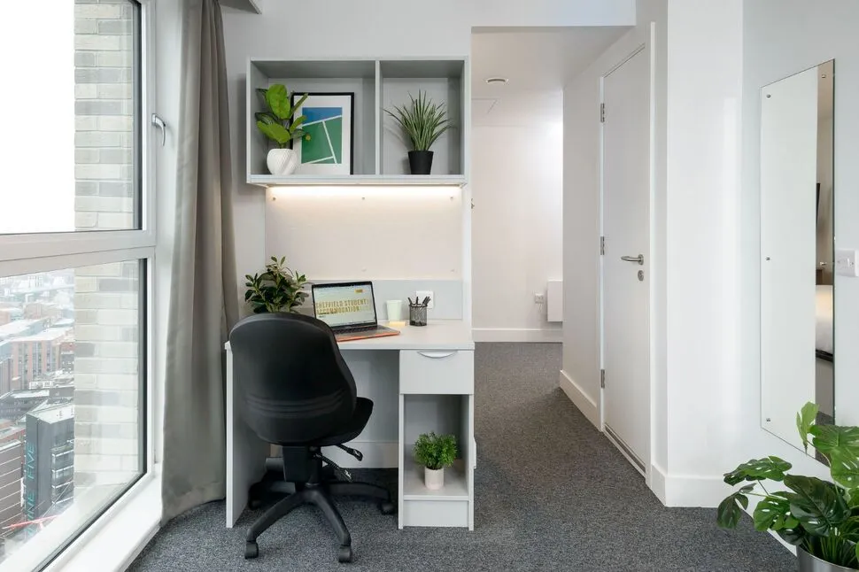 Tenter Street, Sheffield, S1, photo 11