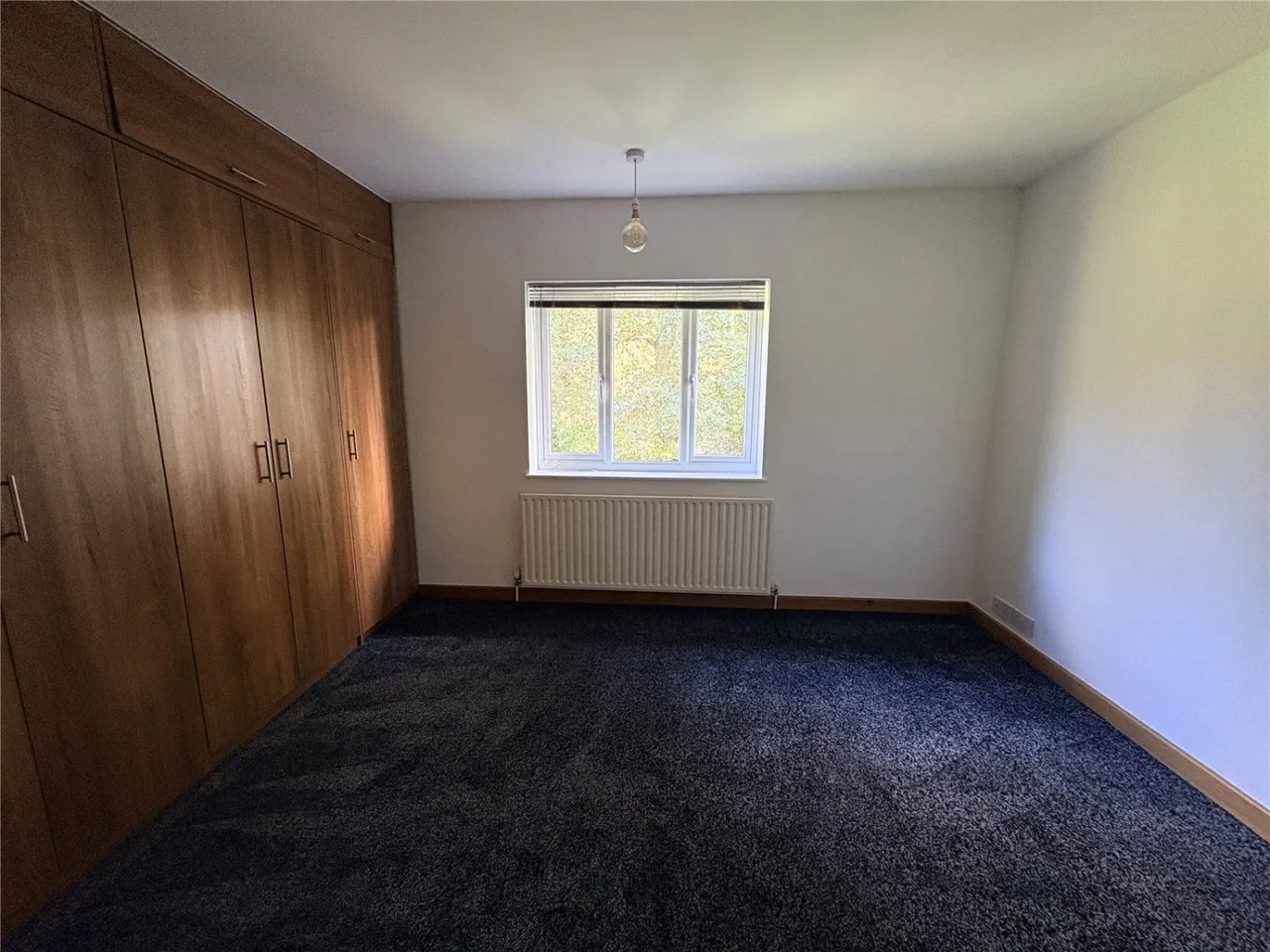 Coneygrey Spinney, Flintham, NG23, photo 8