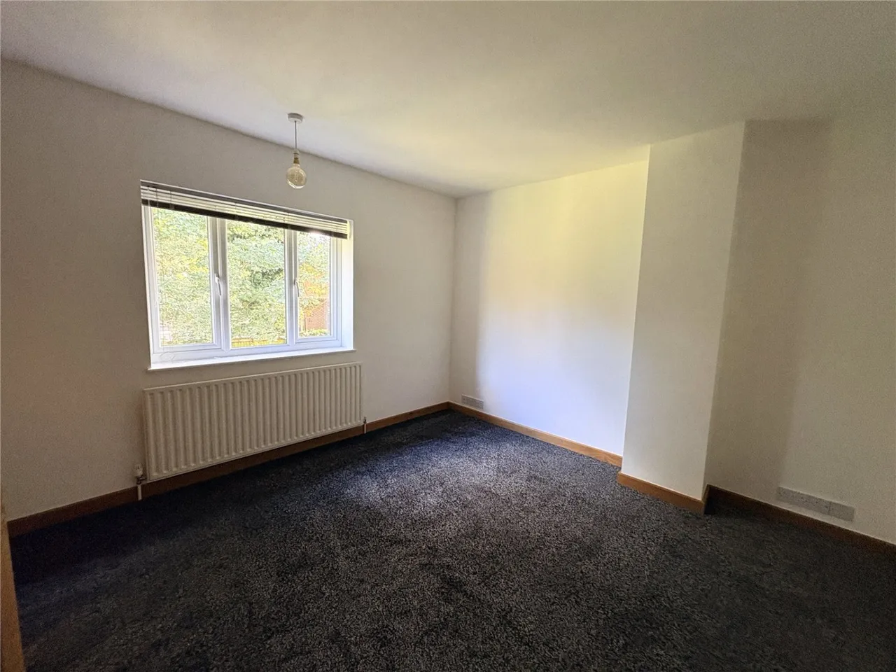 Coneygrey Spinney, Flintham, NG23, photo 9