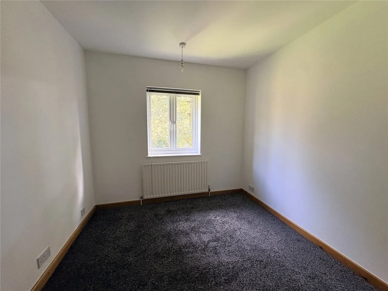 Coneygrey Spinney, Flintham, NG23, photo 11