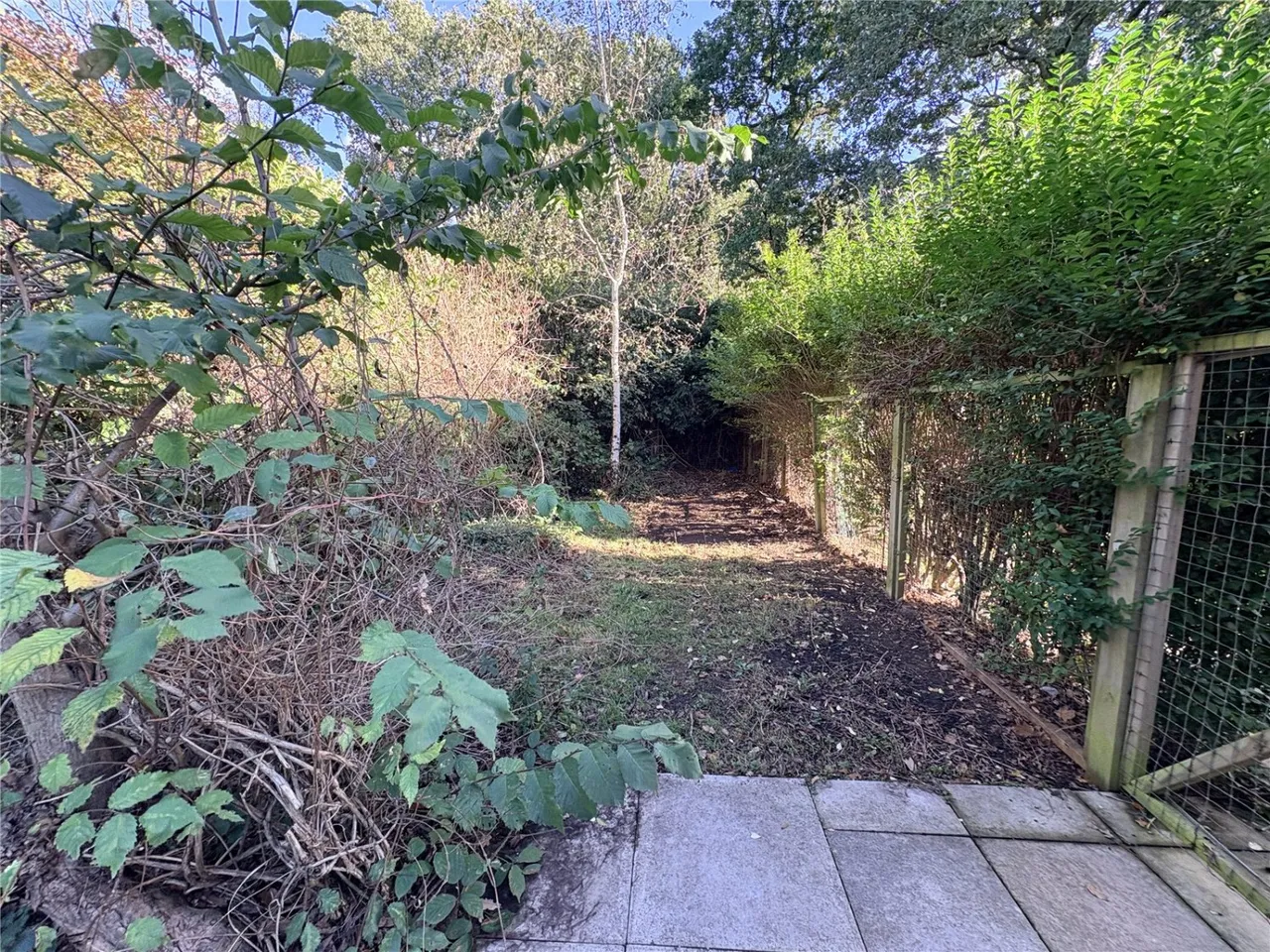 Coneygrey Spinney, Flintham, NG23, photo 16