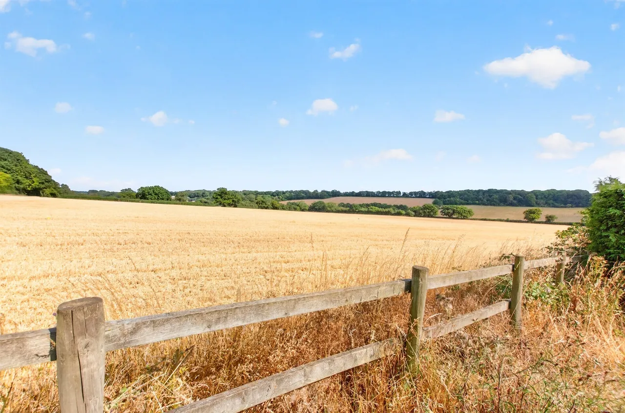 Trowley Hill Road, Flamstead, St. Albans, photo 11