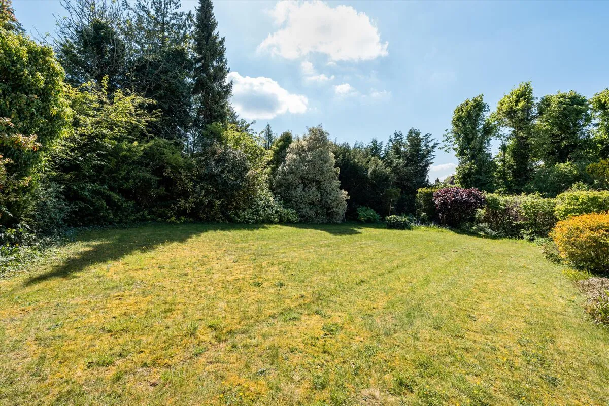 Broadwater Rise, Guildford, GU1, photo 13