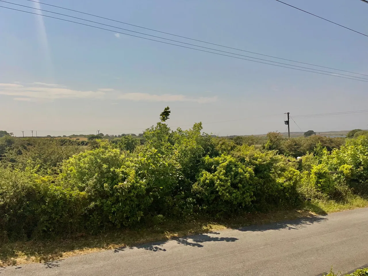 Bodorgan, LL62, photo 20