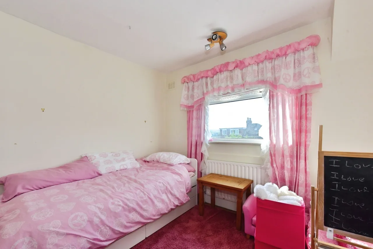 Cat Lane, Sheffield, S2, photo 8
