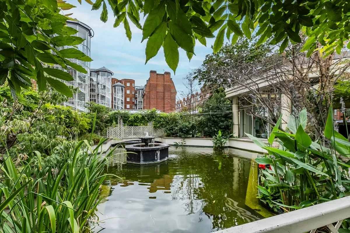 Elystan Street London SW3, photo 10