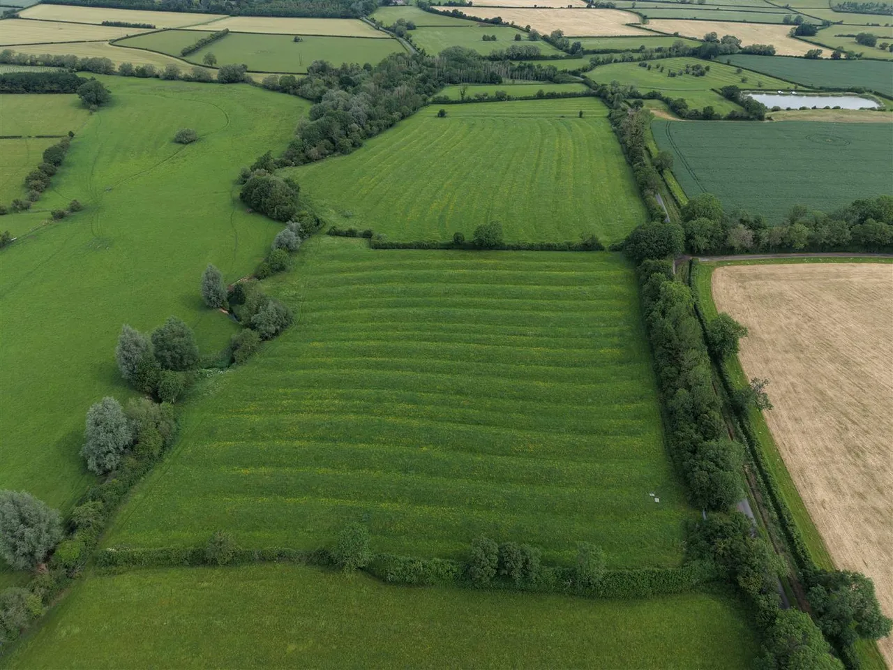 Land at Naunton Beauchamp, North Piddle Lane, Worcestershire, WR10 2LQ, photo 5