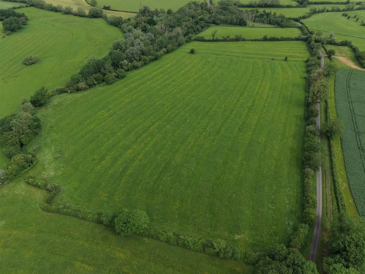 Land at Naunton Beauchamp, North Piddle Lane, Worcestershire, WR10 2LQ, photo 4