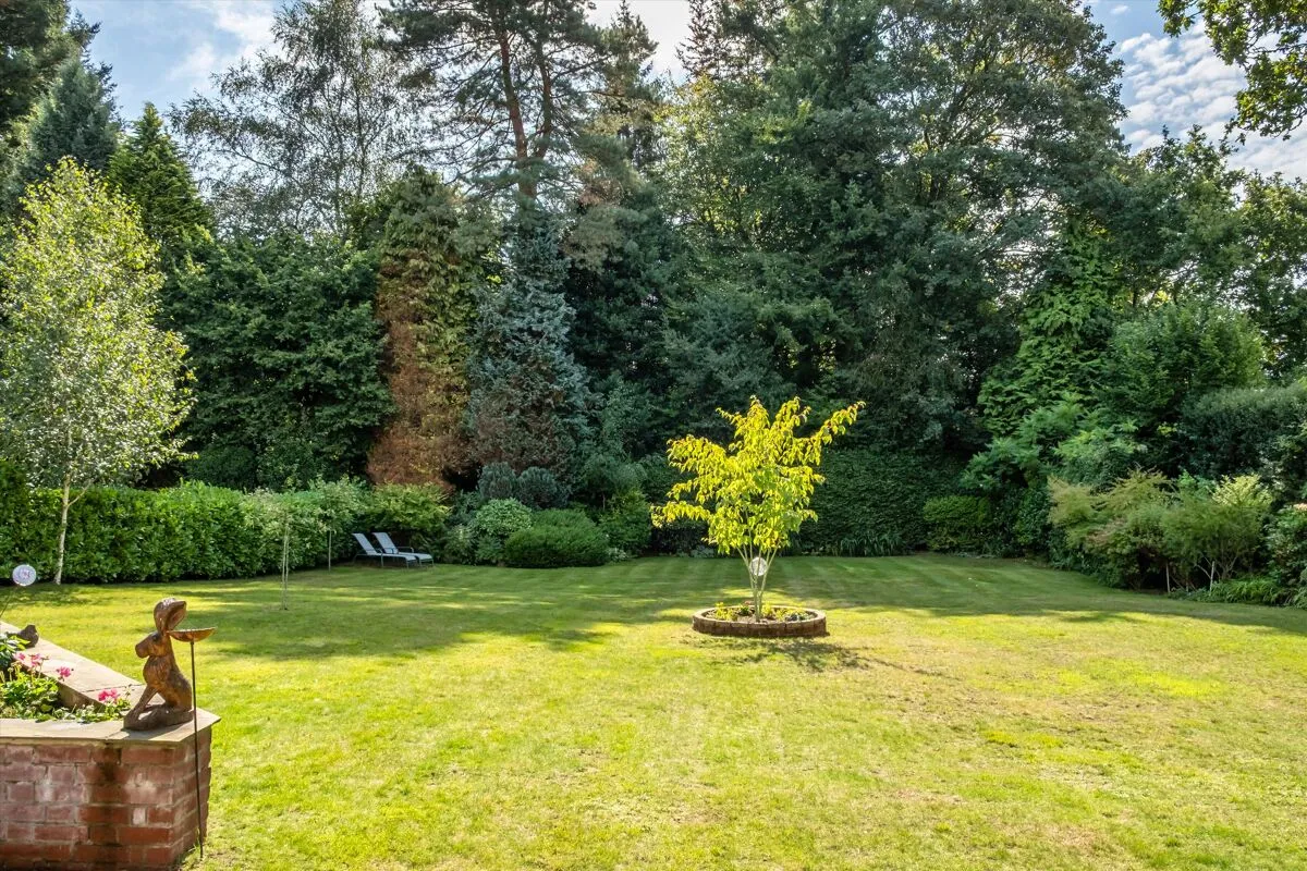 Courts Hill Road, Haslemere, GU27, photo 6