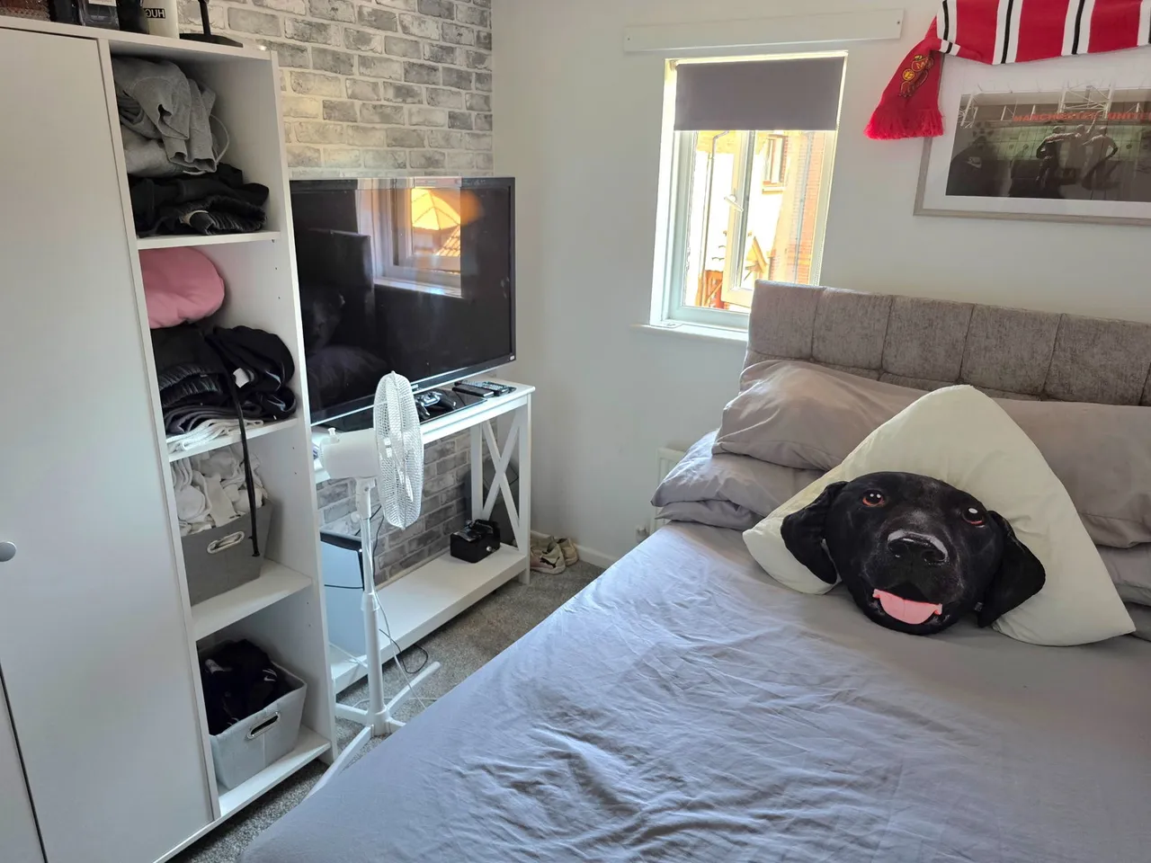 Linnet Close, Newport, PO30 5GT, photo 9