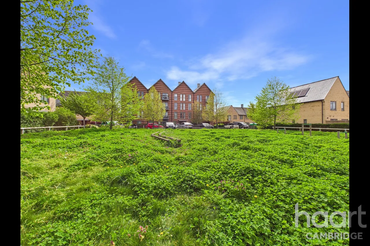 Consort Avenue, Trumpington, CB2, photo 3
