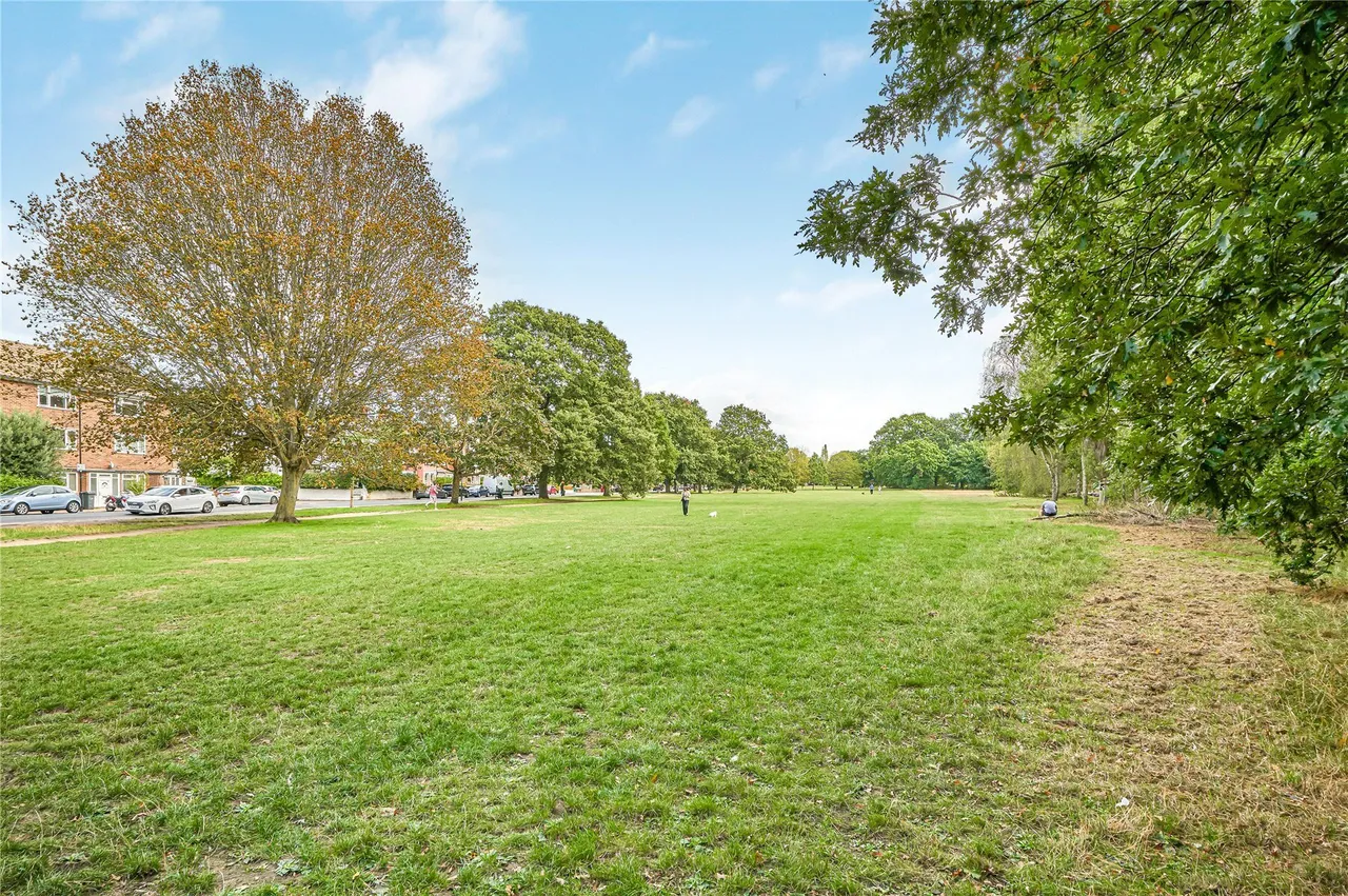 Emmanuel Road, London, SW12, photo 13