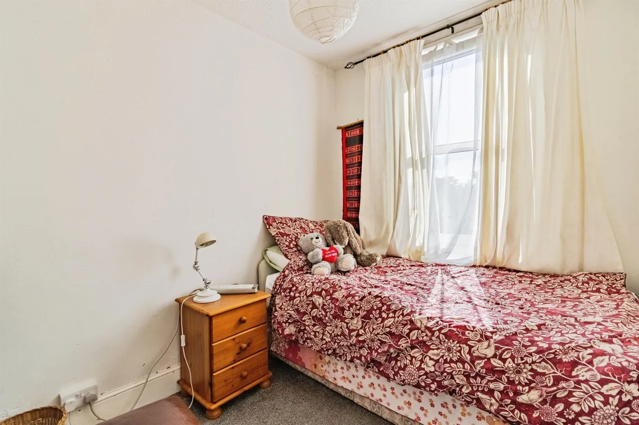 Albert Terrace, Newton Abbot, TQ12, photo 15