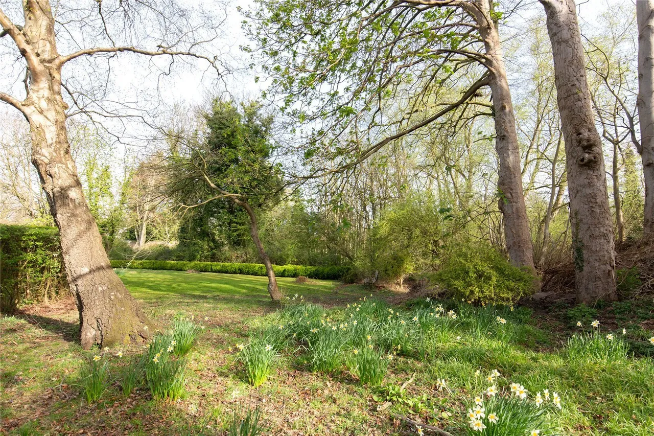 Knight Street, Walsingham, NR22, photo 29