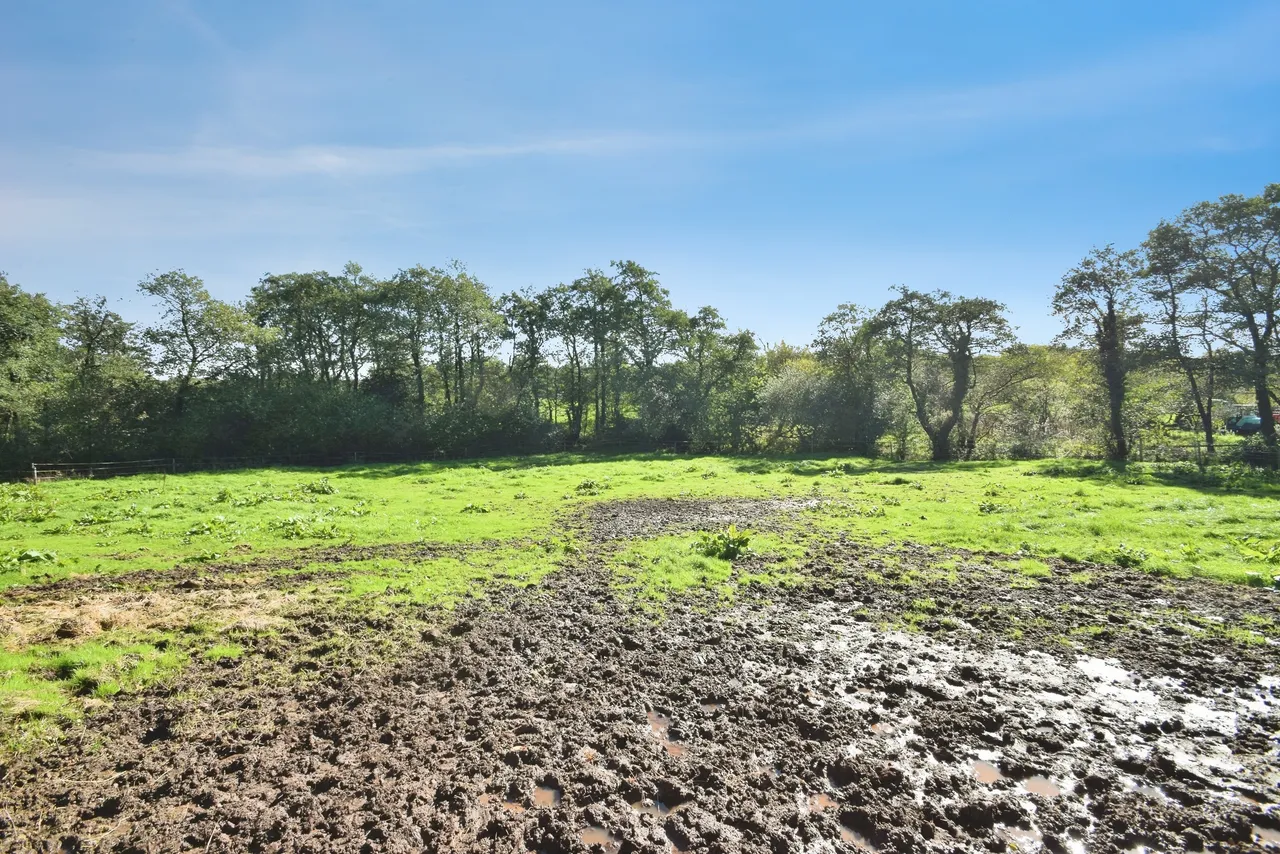 Maesybont, Llanelli, SA14, photo 40