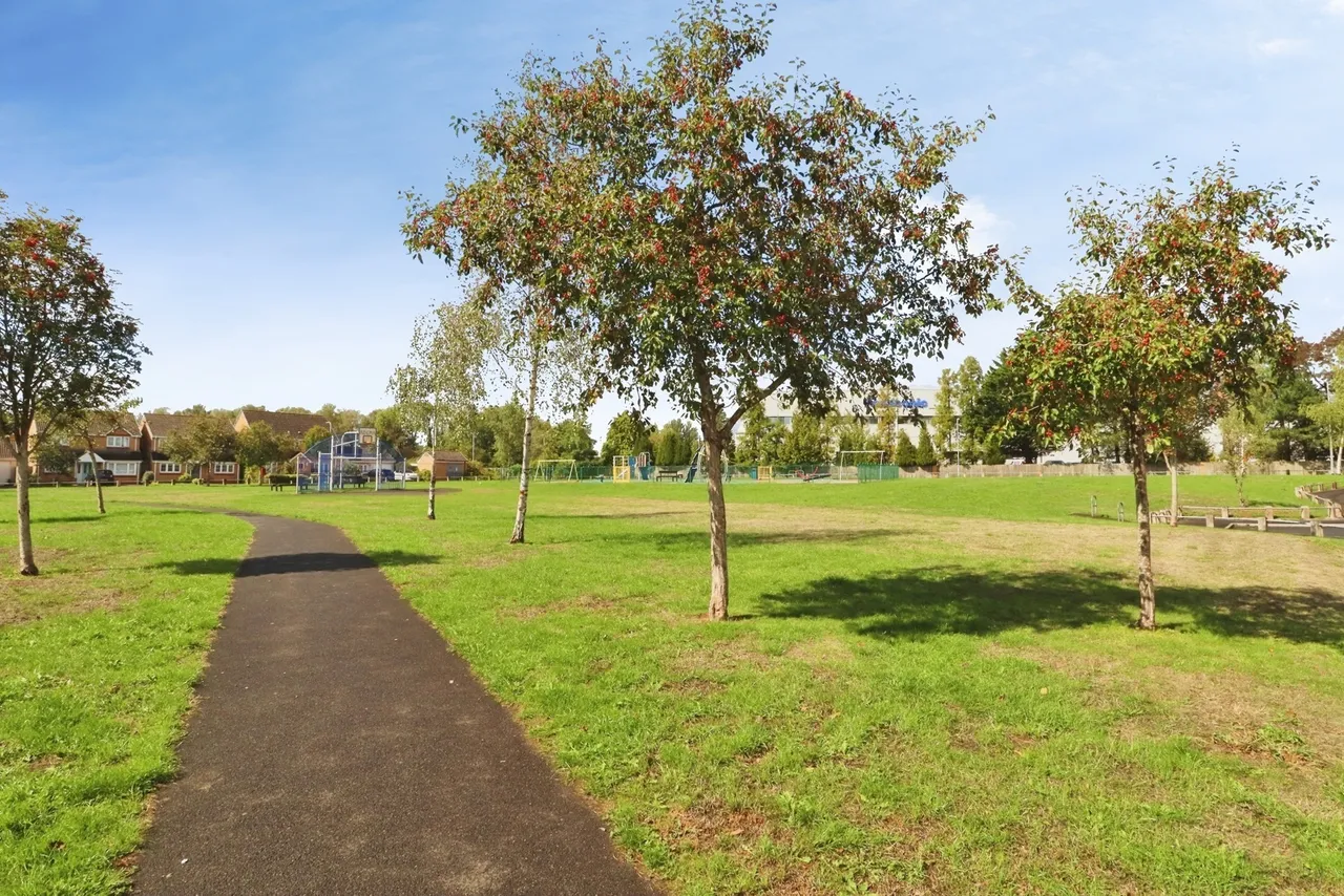 Wyncliffe Gardens, Cardiff, CF23, photo 16