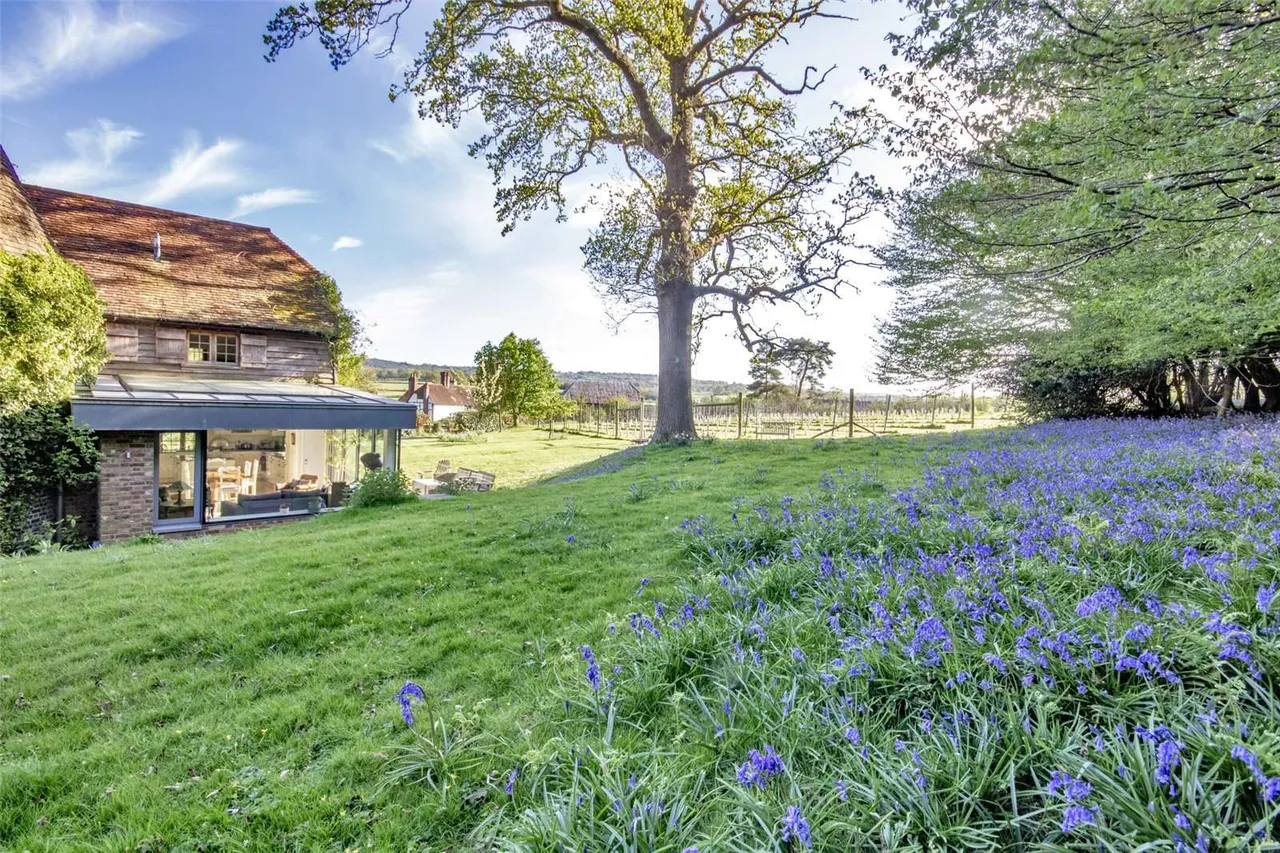 Witherenden Hill, Burwash, Etchingham, East Sussex, TN19 7JN, photo 12