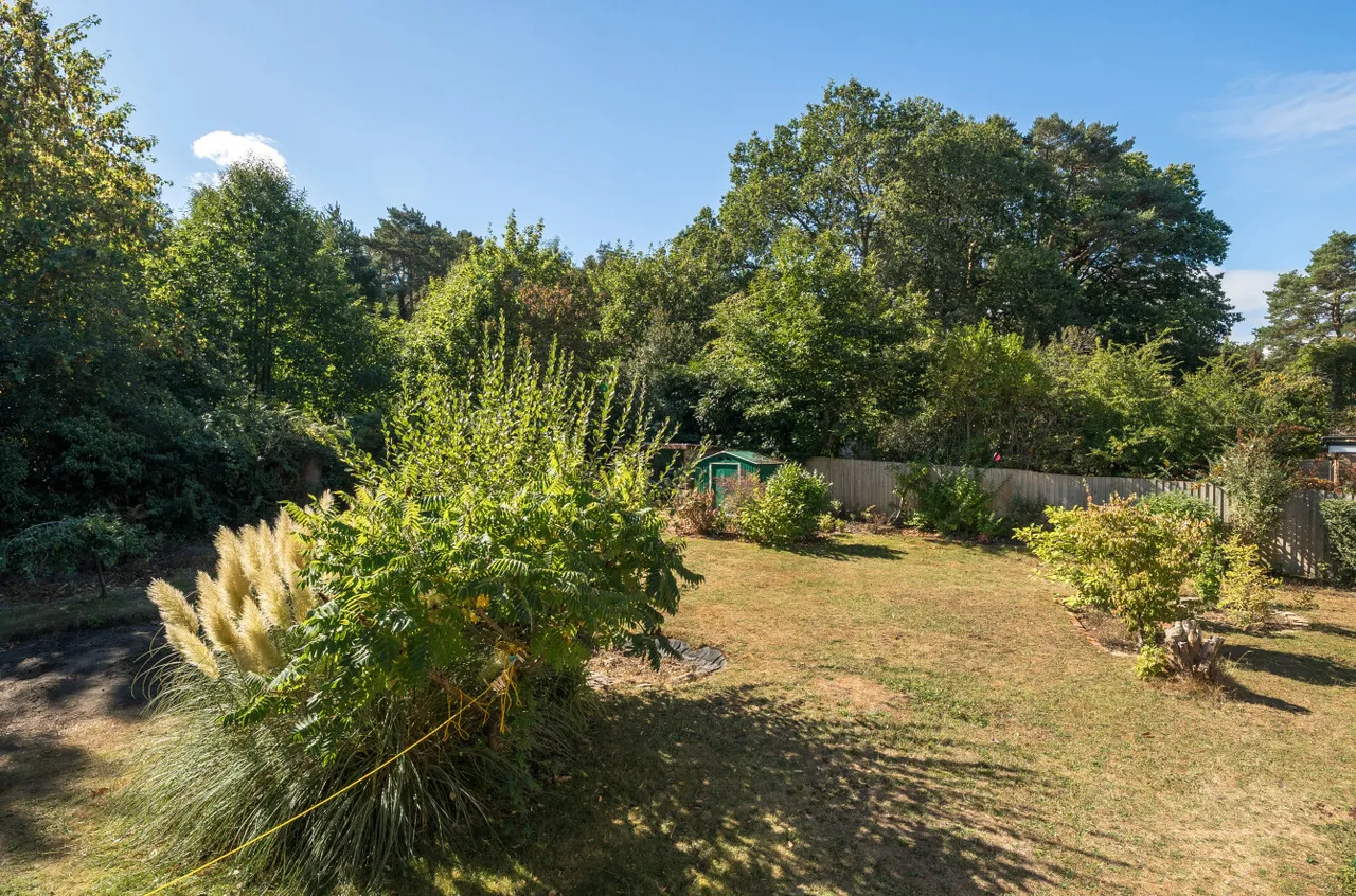 Curley Hill Road, Lightwater, GU18, photo 25