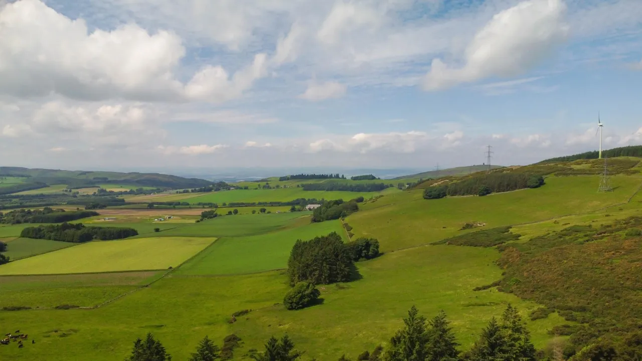 Auchterhouse, Dundee, DD3, photo 17