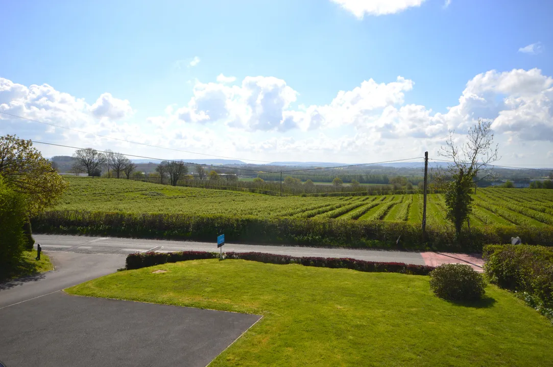 Calvi, Shobdon, Leominster, Herefordshire, HR6 9NN, photo 22