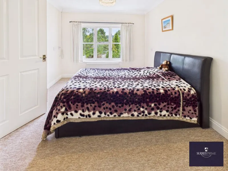 Higher Street, Bridport, DT6, photo 20