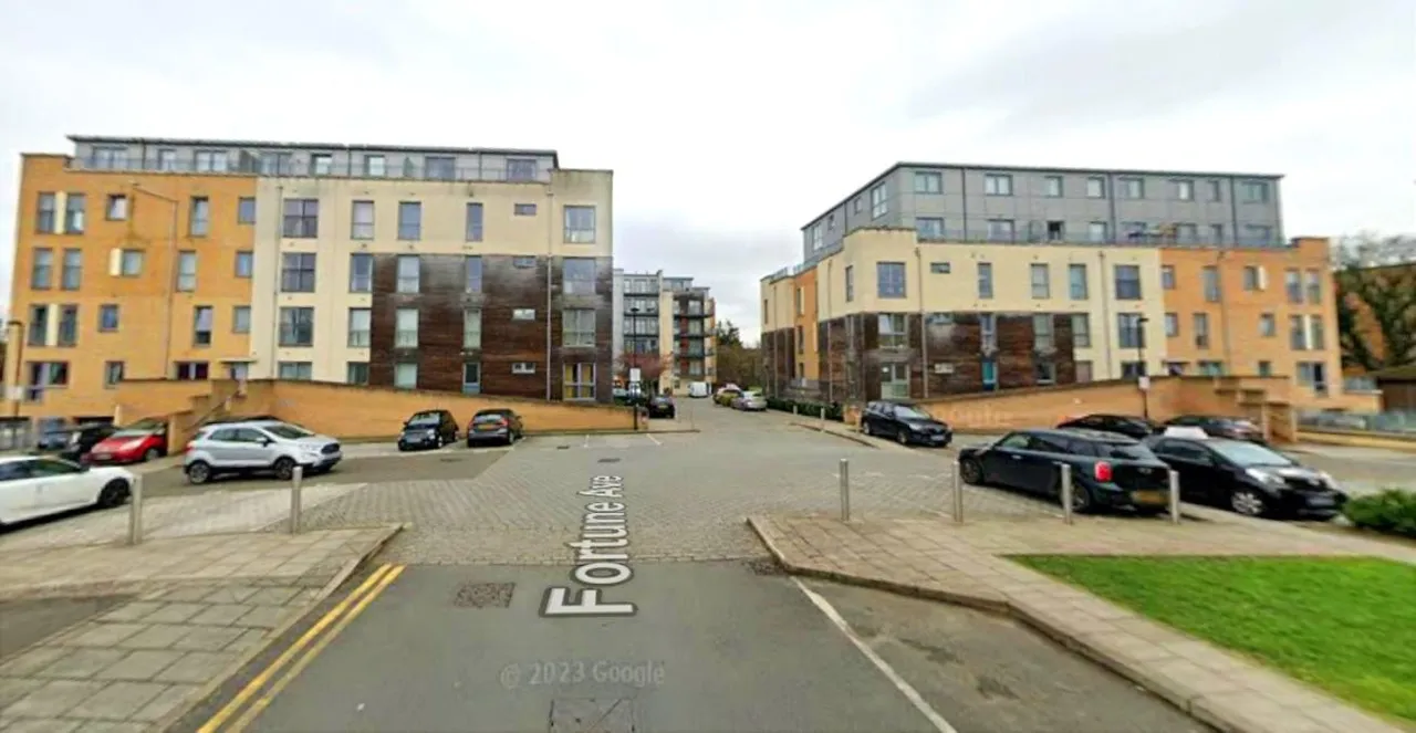 Cameron Crescent, Edgware, photo 13