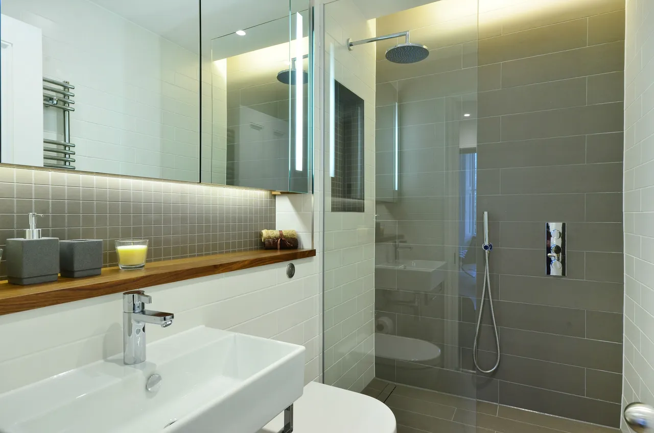 Flat 3, 123 St Georges Square, London, photo 8