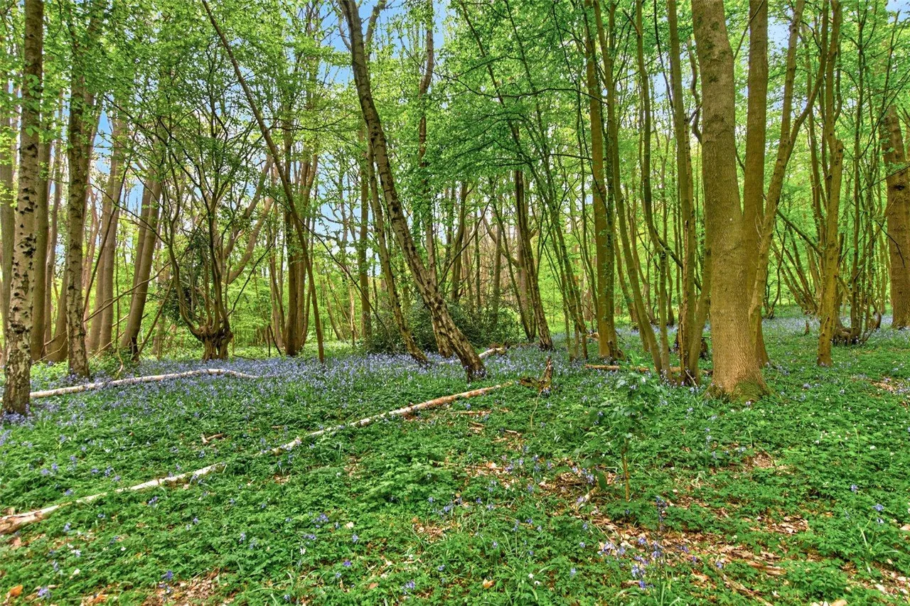 Brimstone Hill, Meopham, DA13, photo 43
