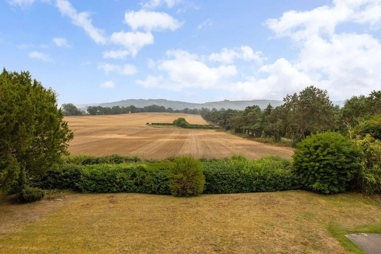 Burton Park Road, Petworth, West Sussex, GU28 0JU, photo 11