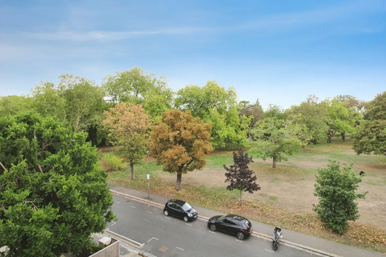 Spencer Park, London, SW18, photo 9