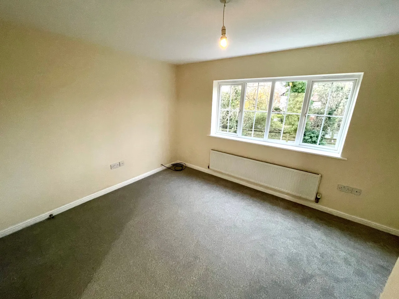 Llys Onnen, Llandudno Junction, LL31, photo 10