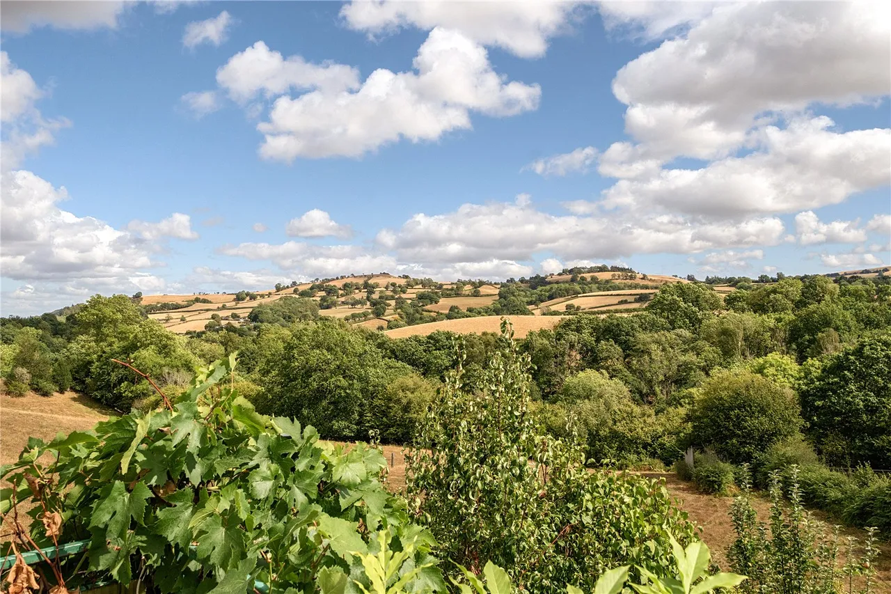 Mochdre, Newtown, Powys, SY16 4JS, photo 9
