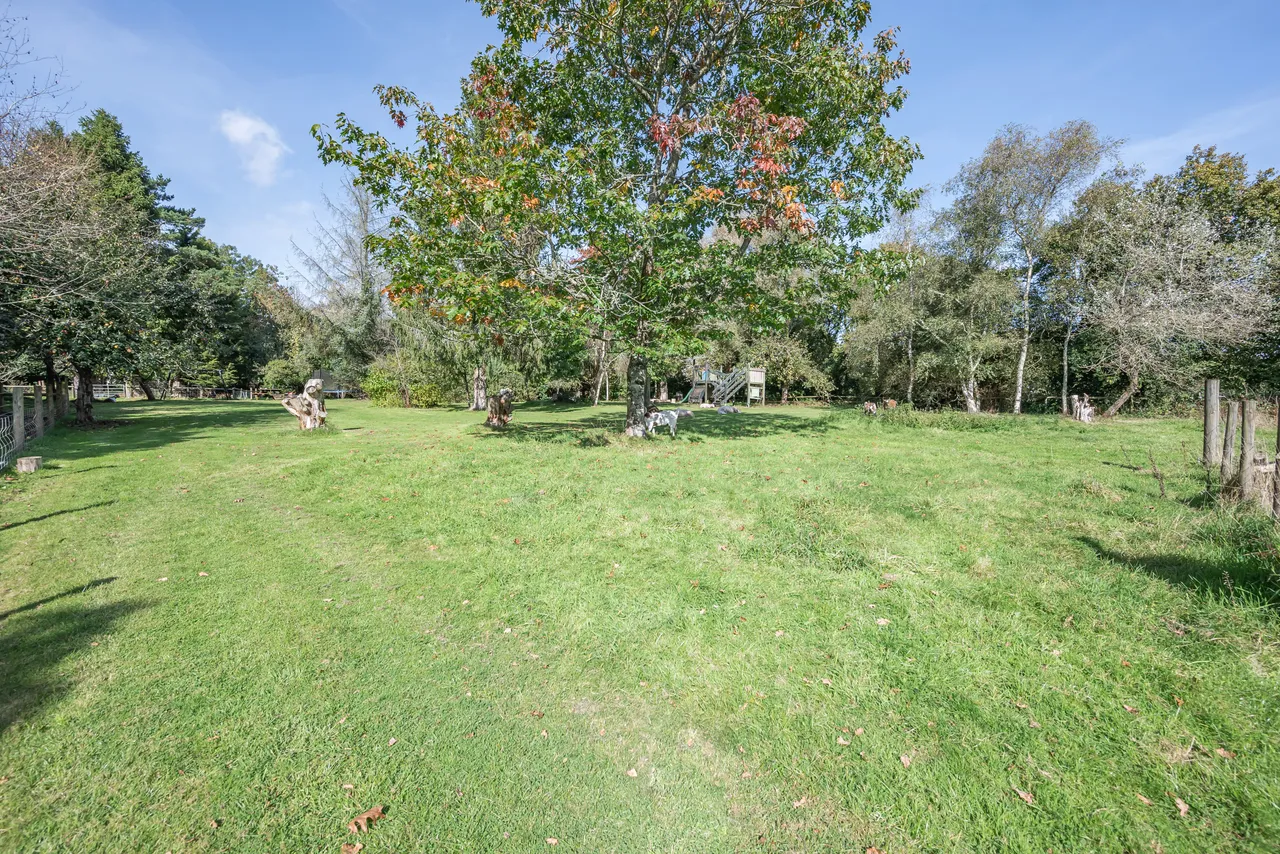 Pyworthy, Holsworthy, EX22, photo 15