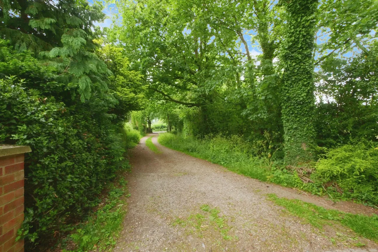 Mill Lane, Acaster Malbis, YO23, photo 5