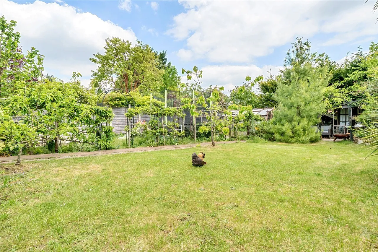 Queens Road, Alton, GU34, photo 19