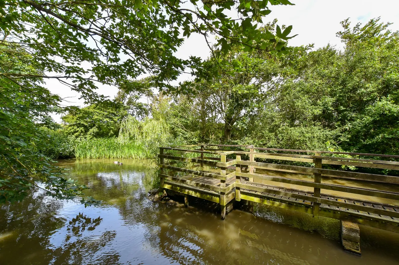 Brighstone, PO30, photo 22