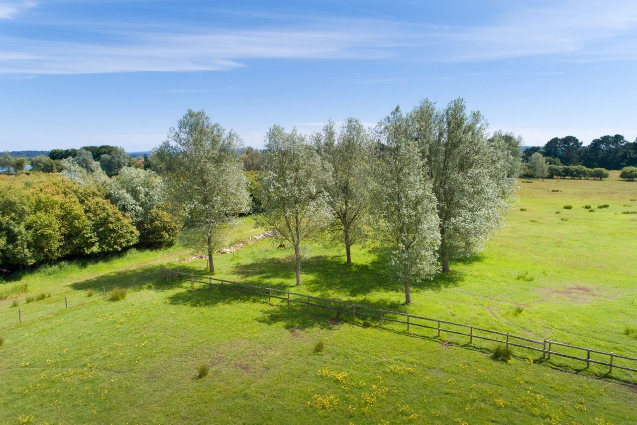 North Bestwall, Wareham, BH20, photo 23