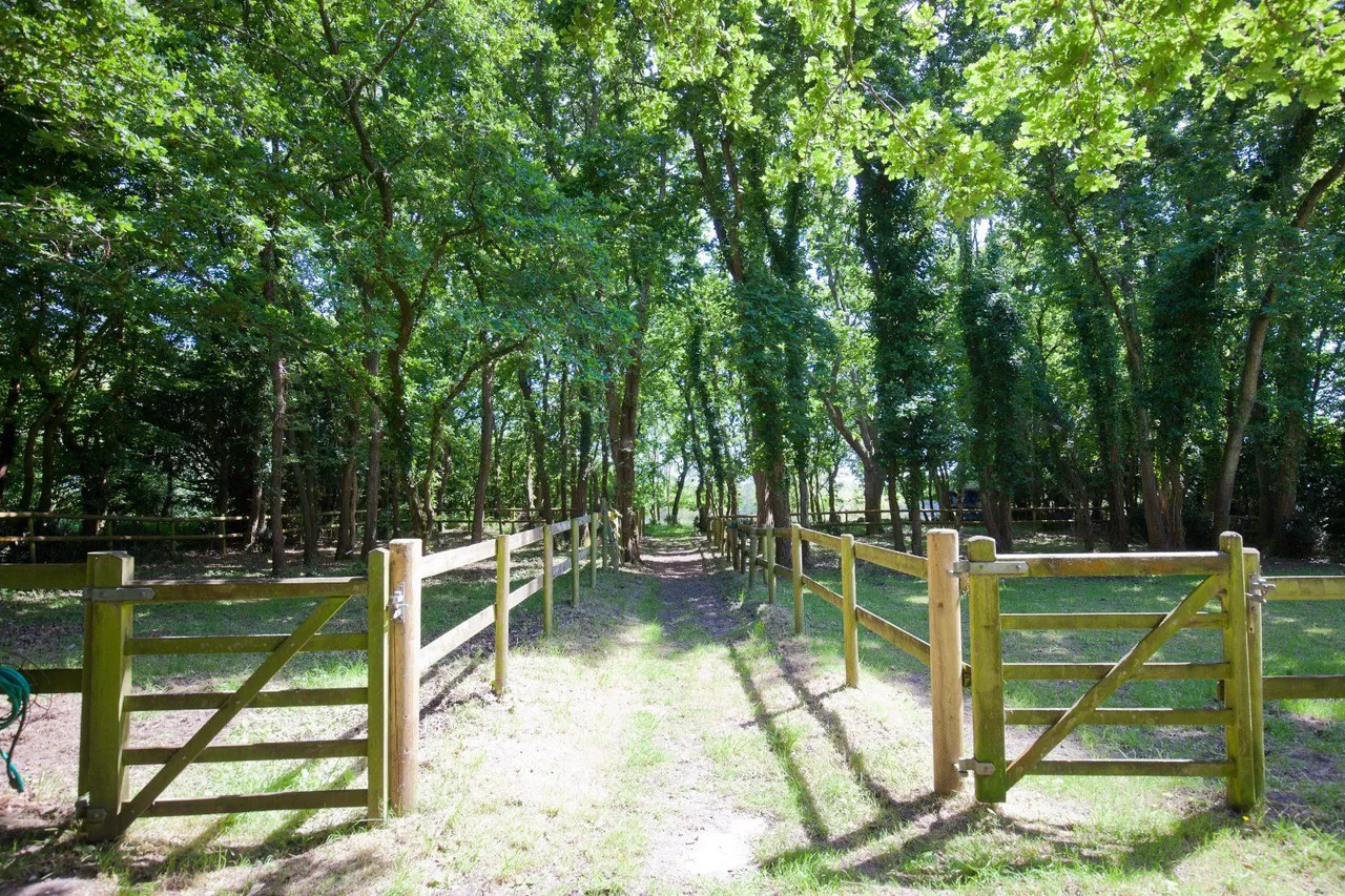 North Bestwall, Wareham, BH20, photo 22