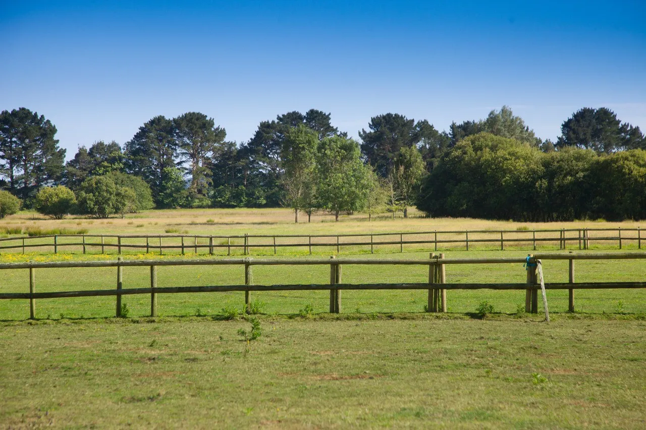 North Bestwall, Wareham, BH20, photo 21