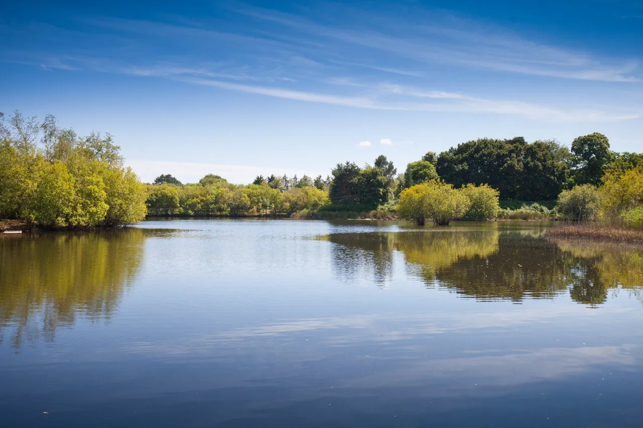 North Bestwall, Wareham, BH20, photo 4